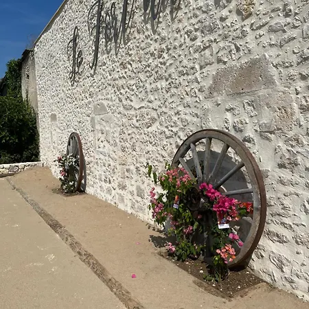 Tatil Evi Du Au